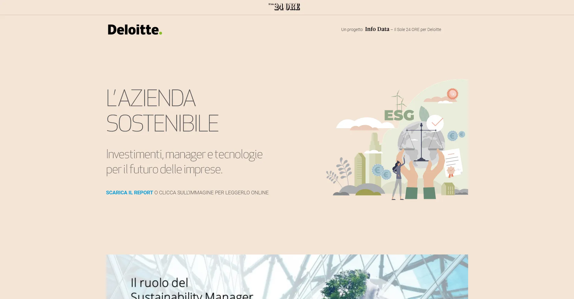 Screenshot del progetto Deloitte